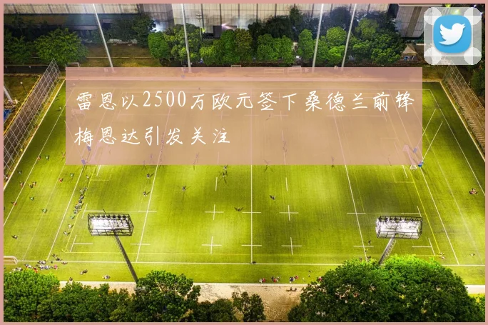 雷恩以2500万欧元签下桑德兰前锋梅恩达引发关注