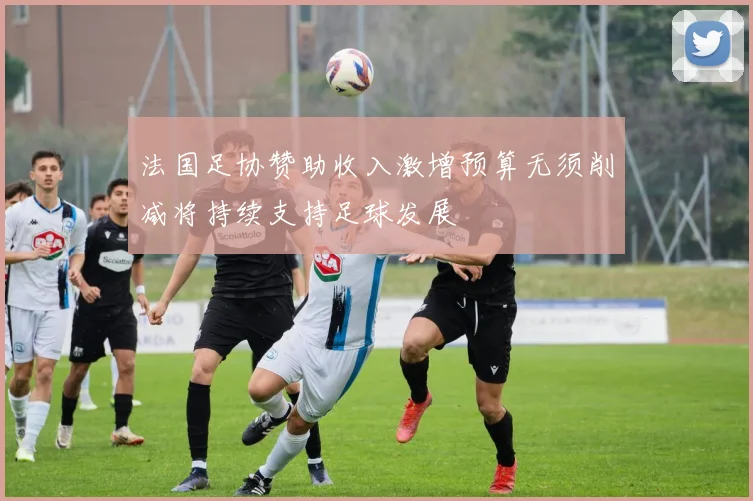 法国足协赞助收入激增预算无须削减将持续支持足球发展